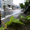 家籠りの一日他