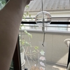 金がないときは無理せず家の中を片付ける方針でございます