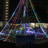 2020年12月27日クソ散歩 ～スト5やってる兄弟がいた～