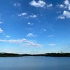 低速ロング走27.29km・今のところ順調に回復しているんじゃないかなの巻