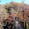 花貫渓谷　吊橋の紅葉