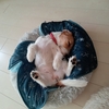 アジ練習