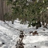 夜叉神峠  〜シーズン最後の雪山か〜