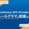 AmiVoice API Private・SDKの「ルールグラマ」認識とは？