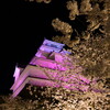 鶴ヶ城の夜桜
