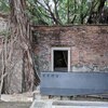 【まるでラピュタ】台南・安平樹屋を観光してきた｜アクセス・見どころ・子連れOK情報も！