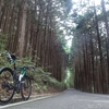 3週間ぶりのサイクリングは奥武蔵でリハビリ