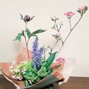 自分のペースで自分らしく