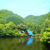 旅ラン日本 vol.24【岐阜・松尾池】。