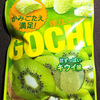 187日目　【新発売】GOCHI（ゴチグミ）　甘ずっぱいキウイ味