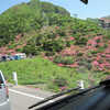 普賢岳ヒカゲツツジ登山会
