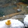 271湯目：姥の湯露天風呂（重曹泉）＊宮城県鳴子温泉