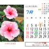 7月の花暦：2021