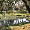 サンちゃん 、寝ます。。(@￣ρ￣@)