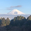 今朝の景色