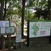 2024.11.4　21世紀の森公園〜テラスモール松戸カプリチョーザ