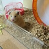みそあん353日目