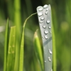 梅雨、夏に向けての湿気対策4選！