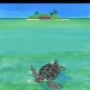 natu-style-aloha’s diary