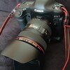 CANON EOS-1DmarkllN & EF24-105f4L IS USM