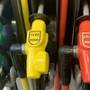 ガソリン、高いね～😵　～ガソリンの値段って何であんなに高いの？～