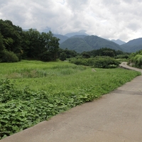 新府城　　の　まわりだけ再訪