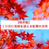 【保存版】１０月に見頃を迎える紅葉の名所6選