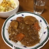 カレーライスを夕食に決定　別の公園で充実したウォーキングをする