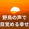 野鳥の声で目覚める幸せ