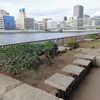 百本杭・お竹倉跡～芥川龍之介生育の地その６