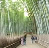 神戸訪問と京都散歩