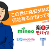 だって、この世に格安SIMの会社って何社有るか知ってる？【ブルゾンSIM美】このブログを立ち上げた理由