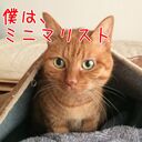 うぴ子と猫のミニマルライフ・目指せ自給自足