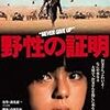 野性の証明　（角川映画）