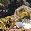 板野 尚美 / 水の家
