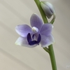 花と緑に囲まれて