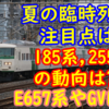 【今週末発表】185系や255系の今後を占う!夏の臨時列車の注目ポイント