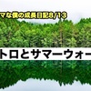 ノロマな僕の成長日記8/13