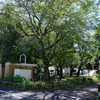 2024/09/10 富士見公園