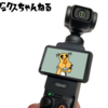 【YouTube本格始動】DJI Osmo pocket 3 クリエイターコンボを買ってVlog撮影/カメラ初心者【タロイモVLOGちゃんねる】