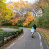 東京ドーム６５個分！国営武蔵丘陵「森林公園」で自転車を乗り回す！埼玉県