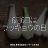 1680食目「6月6日はラッキョウの日」野菜と果物の記念日シリーズその15