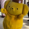 ハーモニーランド、今日はポムポムプリンday☆