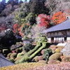 雲厳寺に行ってきました　　　　27日の記録