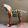 老馬🐎と騎手(刺客)  ⑵