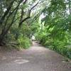 勝俣部長の「高尾登山と健康体質作り」６０９････酔い　と　ボケの　間(ﾊｻﾞﾏ)　で