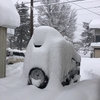 南会津町の冬をなめてた。