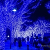 クリスマスイルミネーション青の洞窟　2024