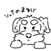 娘が描いてくれたシュナの絵🐾