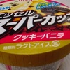 クッキーバニラ　アイスクリーム